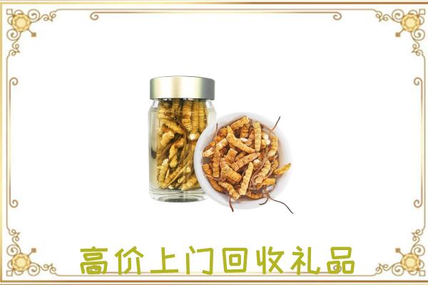 昆明周边回收虫草